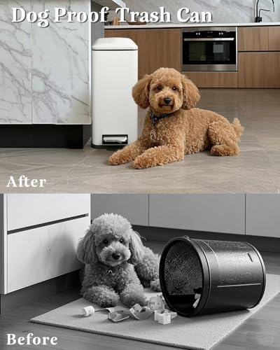 Stainless Steel 10L Trash Can with Lid for Bathroom and Kitchen