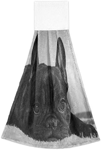 Aslsiy French Bulldog Dish Towels Set of 2 Hanging Kitchen Towels
