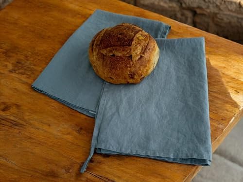 Eight Owls Linen Dish Towels - Set of 2 20x27 Inch Blue Bay