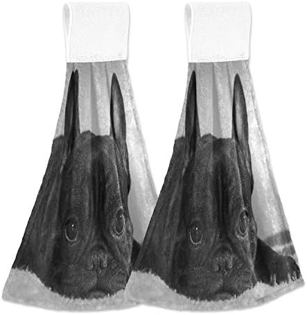 Aslsiy French Bulldog Dish Towels Set of 2 Hanging Kitchen Towels