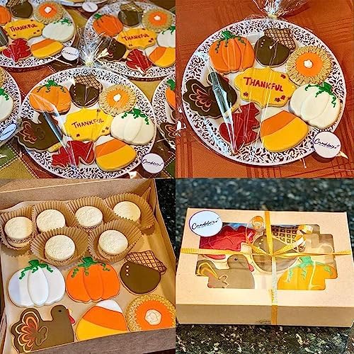 IPUDIS 16pc Stainless Steel Cookie Cutter Set with 10 Gold Cake Pads