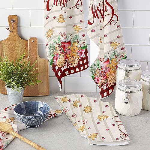 ZOE GARDEN Farmhouse Red Plaid Dish Towel 18x28 1-PC