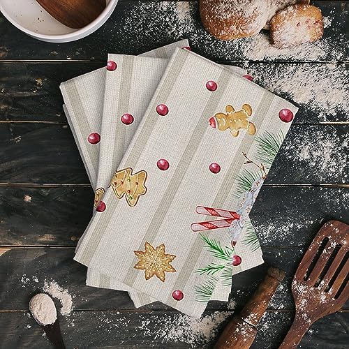 ZOE GARDEN Farmhouse Red Plaid Dish Towel 18x28 1-PC