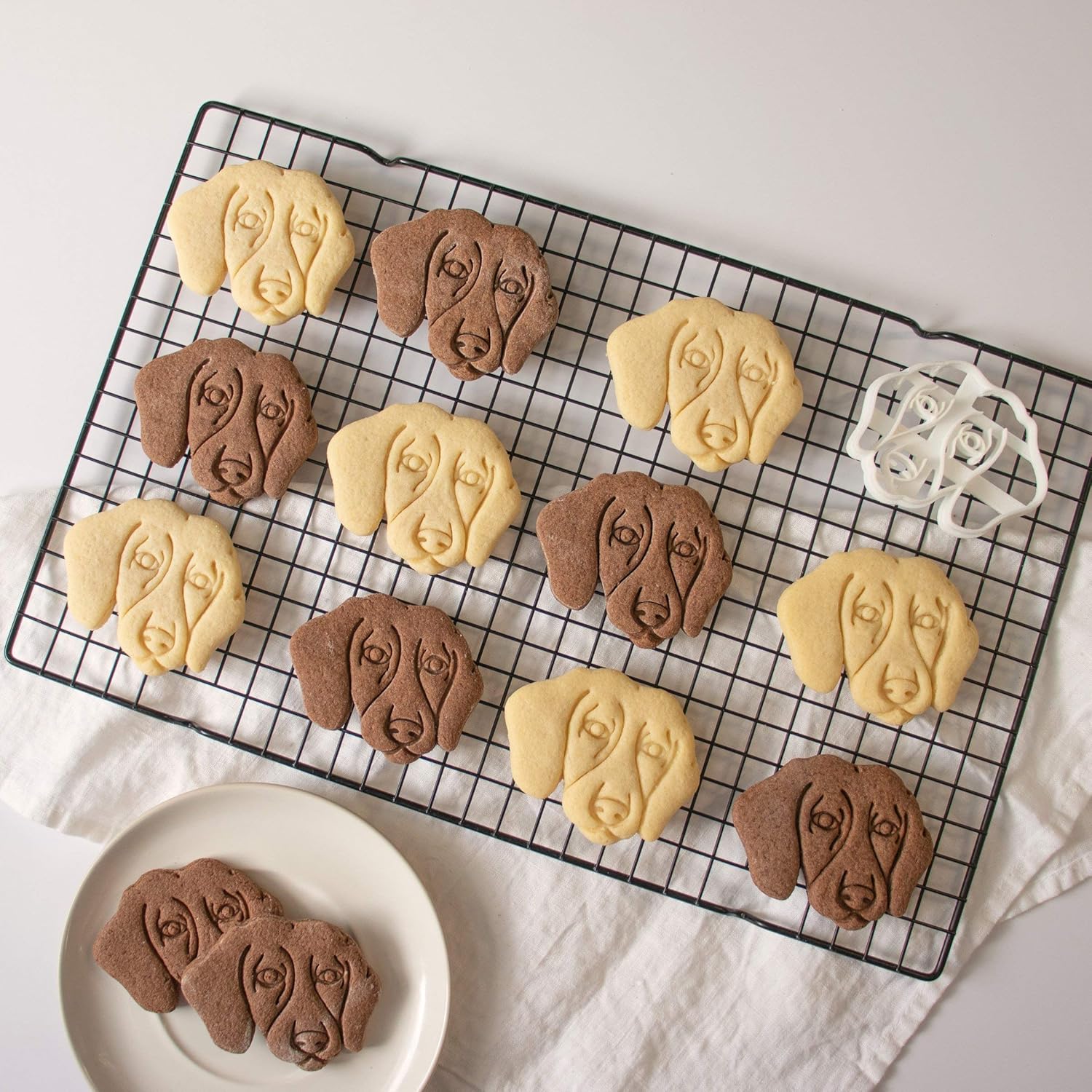 Short Haired Dachshund Face Cookie Cutter - 1 Piece Bakerlogy